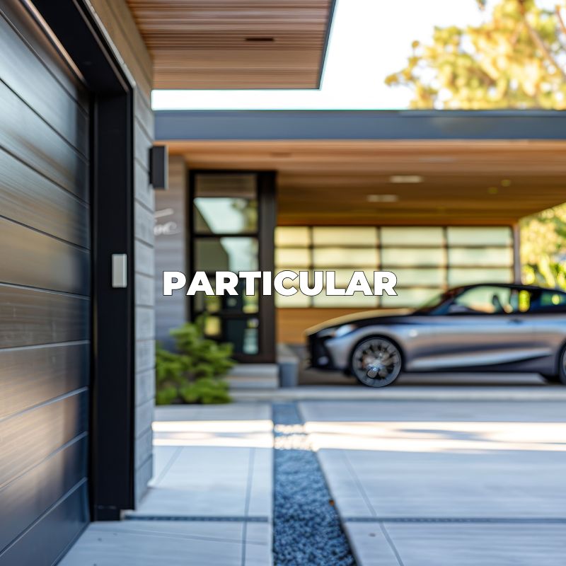 Particular
